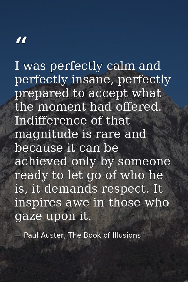 I was perfectly calm and perfectly insane, perfectly prepared to accept what the moment had offered. Indifference of tha — Paul Auster, The Book of Illusions