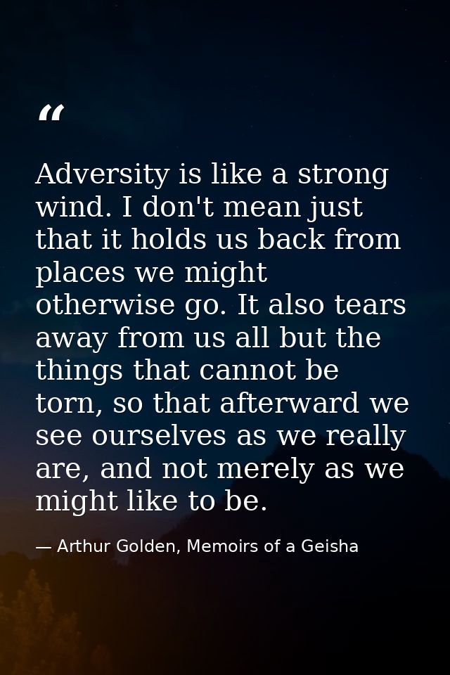 Adversity is like a strong wind. I don't mean just that it holds us back from places we might otherwise go. It also tear — Arthur Golden, Memoirs of a Geisha