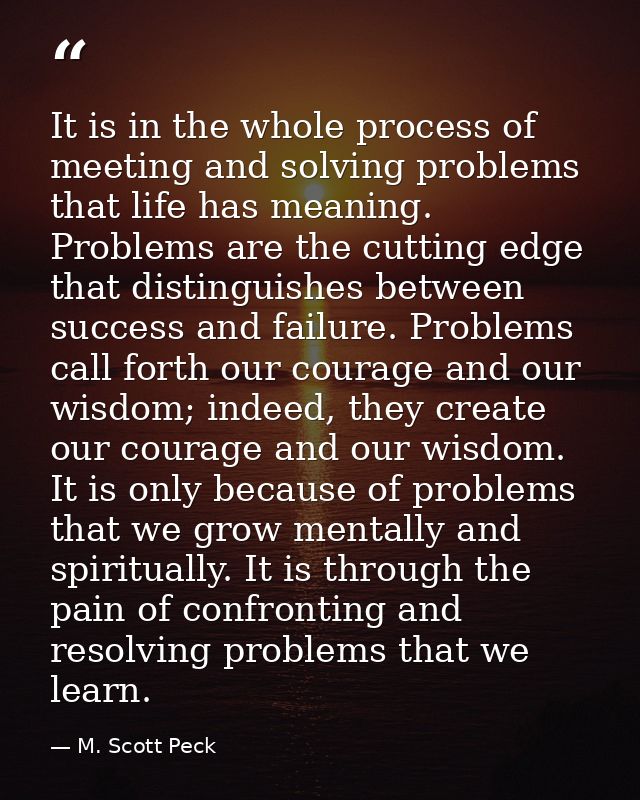 It is in the whole process of meeting and solving problems that life has meaning. Problems are the cutting edge that dis — M. Scott Peck