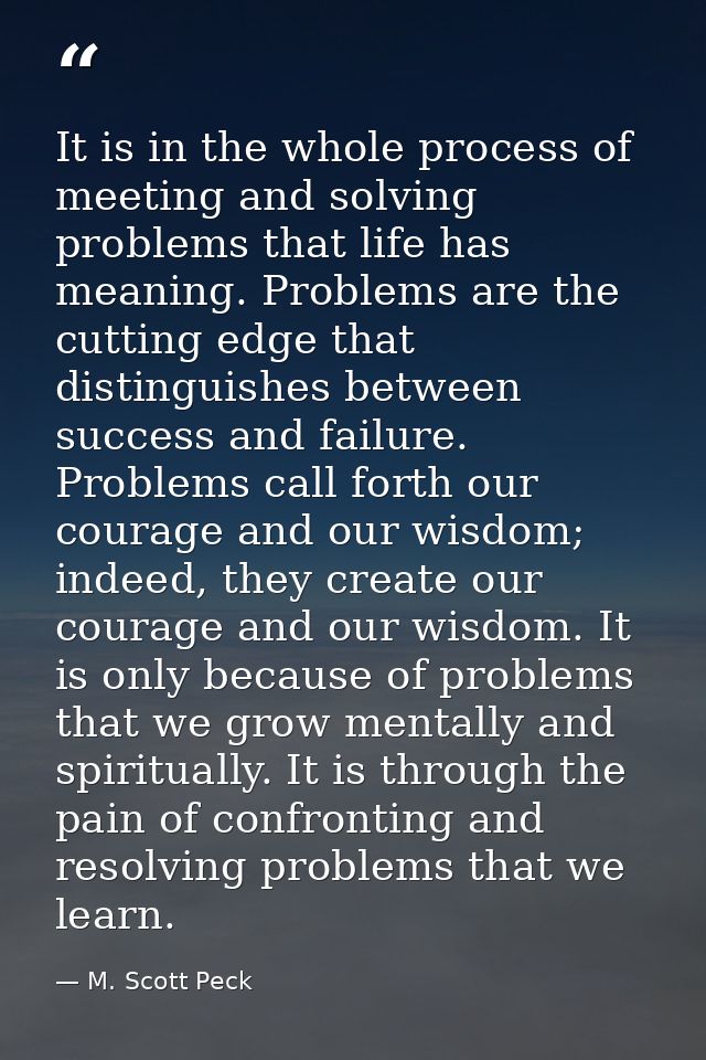 It is in the whole process of meeting and solving problems that life has meaning. Problems are the cutting edge that dis — M. Scott Peck