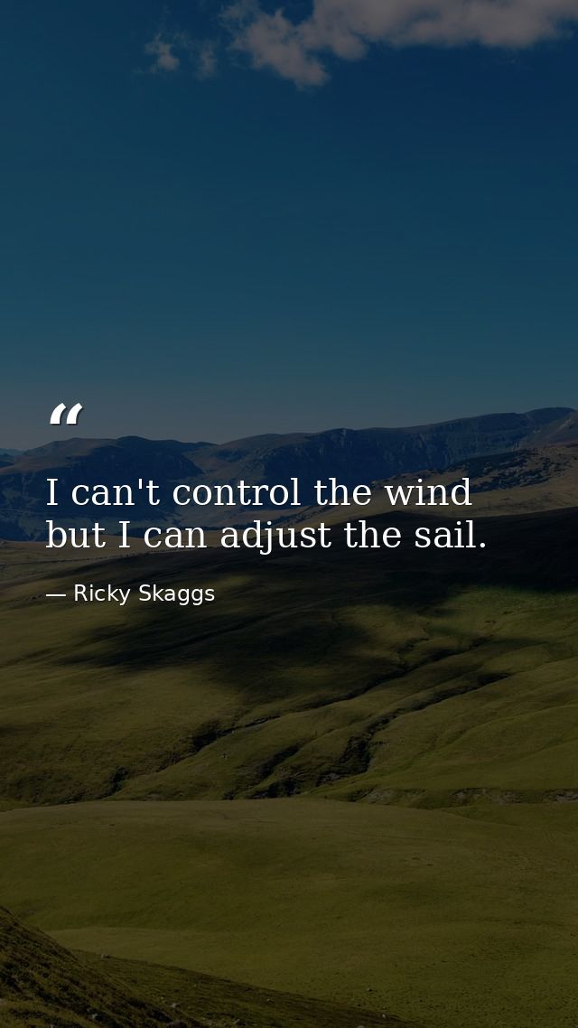 I can't control the wind but I can adjust the sail. — Ricky Skaggs