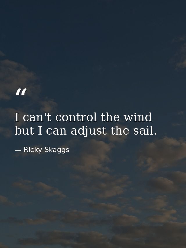 I can't control the wind but I can adjust the sail. — Ricky Skaggs