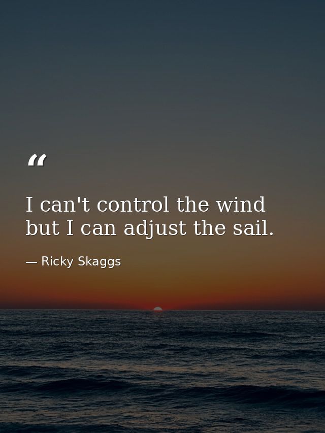 I can't control the wind but I can adjust the sail. — Ricky Skaggs