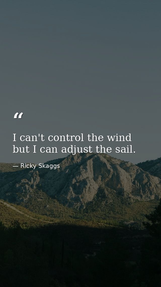 I can't control the wind but I can adjust the sail. — Ricky Skaggs
