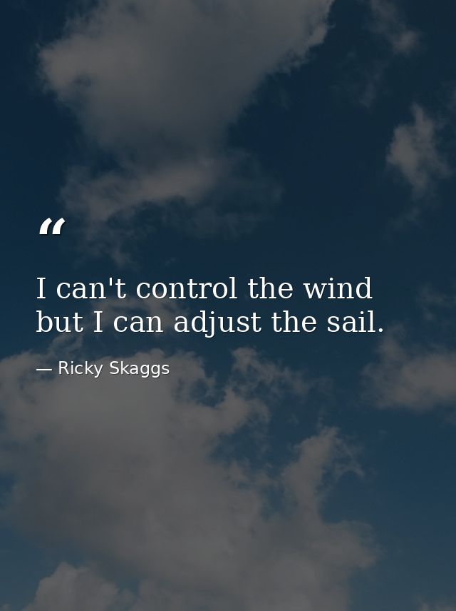 I can't control the wind but I can adjust the sail. — Ricky Skaggs