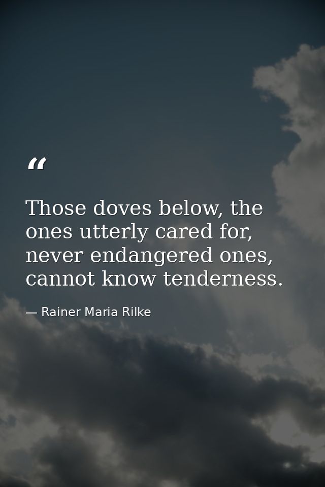 Those doves below, the ones utterly cared for, never endangered ones, cannot know tenderness. — Rainer Maria Rilke