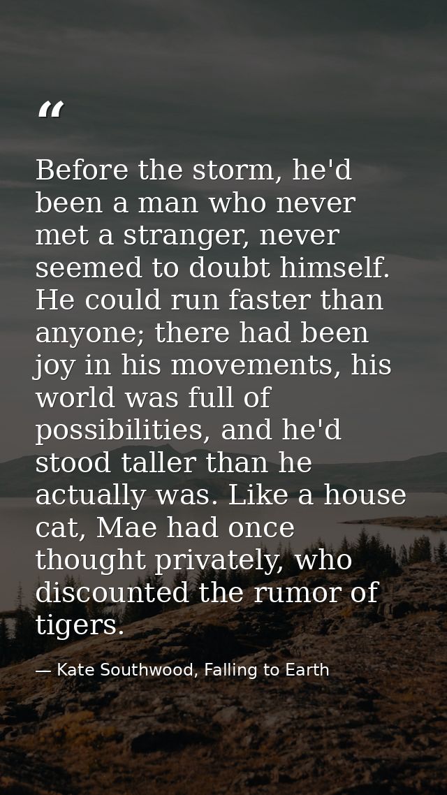 Before the storm, he'd been a man who never met a stranger, never seemed to doubt himself. He could run faster than anyo — Kate Southwood, Falling to Earth