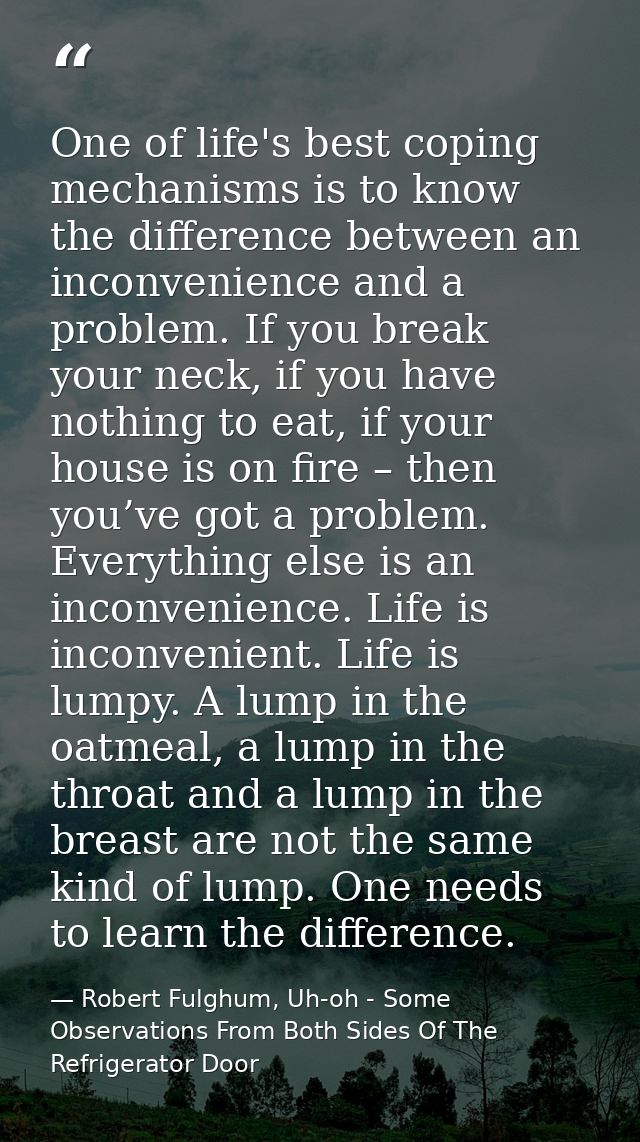 One of life's best coping mechanisms is to know the difference between an inconvenience and a problem. If you break your — Robert Fulghum, Uh-oh - Some Observations From Both Sides Of The Refrigerator Door