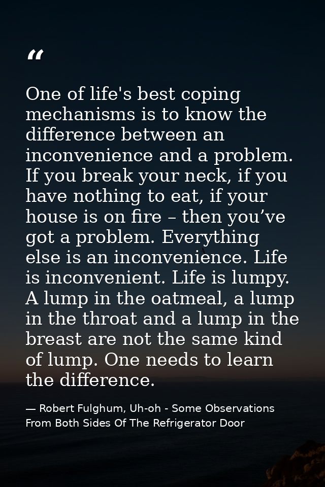 One of life's best coping mechanisms is to know the difference between an inconvenience and a problem. If you break your — Robert Fulghum, Uh-oh - Some Observations From Both Sides Of The Refrigerator Door