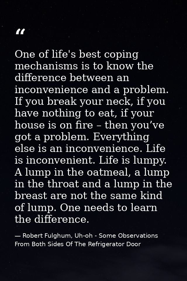 One of life's best coping mechanisms is to know the difference between an inconvenience and a problem. If you break your — Robert Fulghum, Uh-oh - Some Observations From Both Sides Of The Refrigerator Door