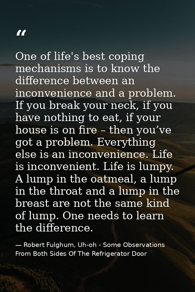 One of life's best coping mechanisms is to know the difference between an inconvenience and a problem. If you break your — Robert Fulghum, Uh-oh - Some Observations From Both Sides Of The Refrigerator Door