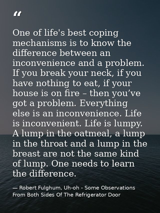 One of life's best coping mechanisms is to know the difference between an inconvenience and a problem. If you break your — Robert Fulghum, Uh-oh - Some Observations From Both Sides Of The Refrigerator Door