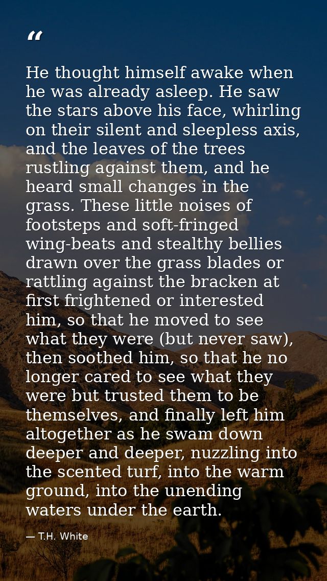 He thought himself awake when he was already asleep. He saw the stars above his face, whirling on their silent and sleep — T.H. White