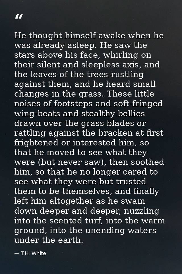 He thought himself awake when he was already asleep. He saw the stars above his face, whirling on their silent and sleep — T.H. White