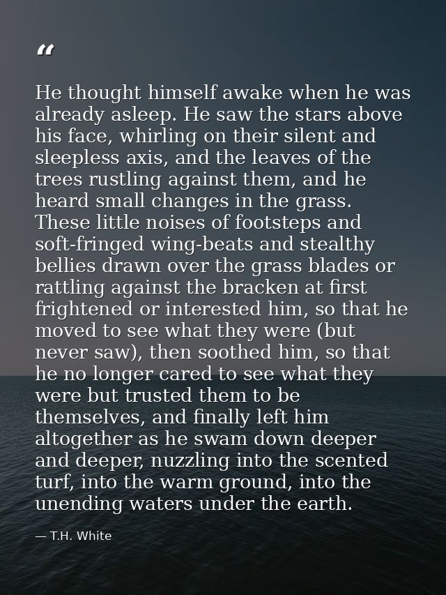 He thought himself awake when he was already asleep. He saw the stars above his face, whirling on their silent and sleep — T.H. White
