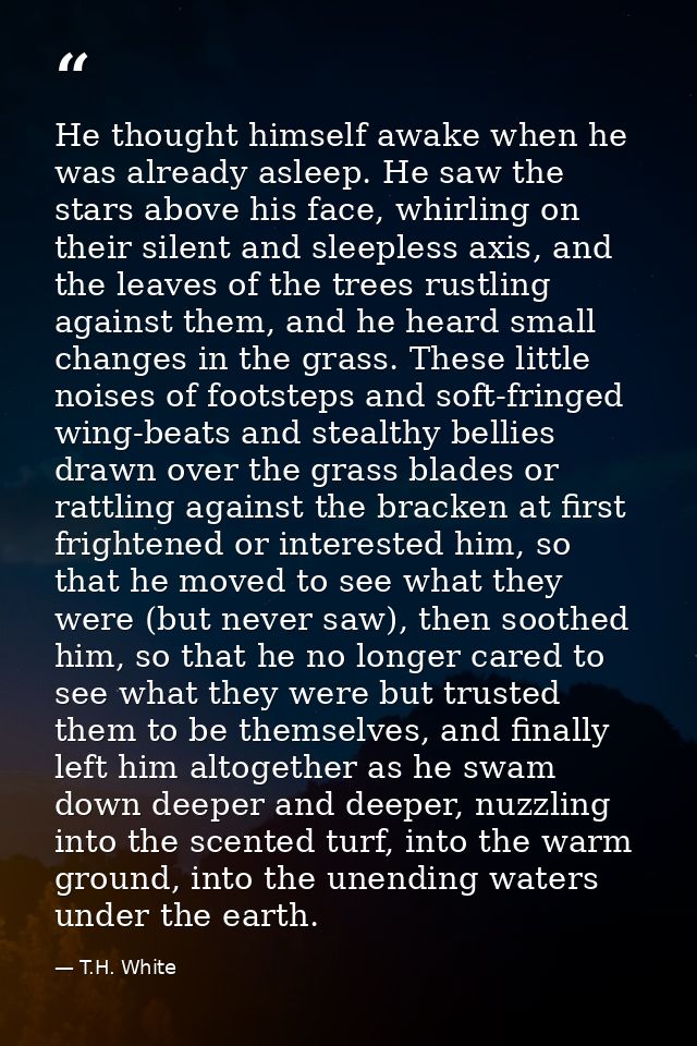 He thought himself awake when he was already asleep. He saw the stars above his face, whirling on their silent and sleep — T.H. White