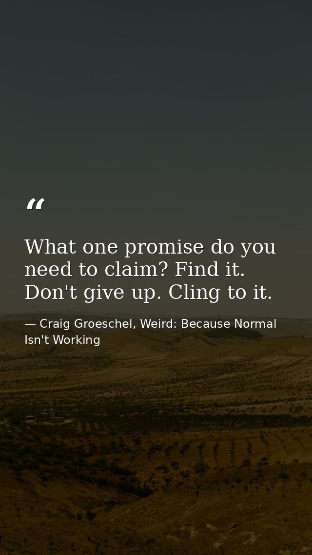 What one promise do you need to claim? Find it. Don't give up. Cling to it. — Craig Groeschel, Weird: Because Normal Isn't Working