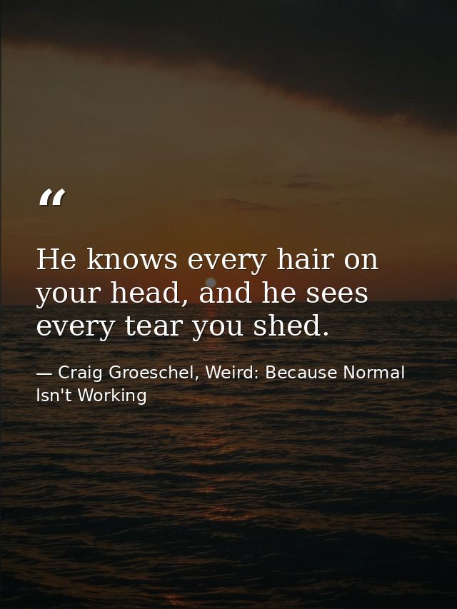 He knows every hair on your head, and he sees every tear you shed. — Craig Groeschel, Weird: Because Normal Isn't Working