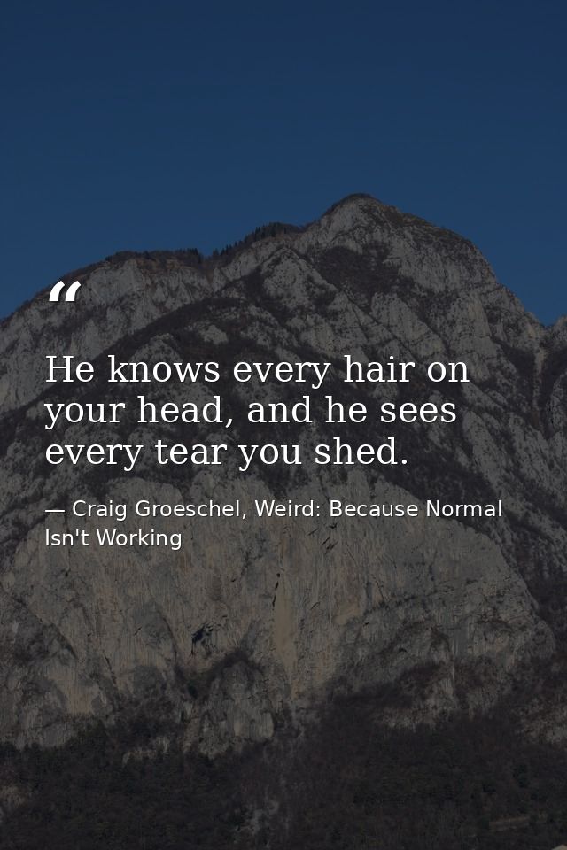 He knows every hair on your head, and he sees every tear you shed. — Craig Groeschel, Weird: Because Normal Isn't Working