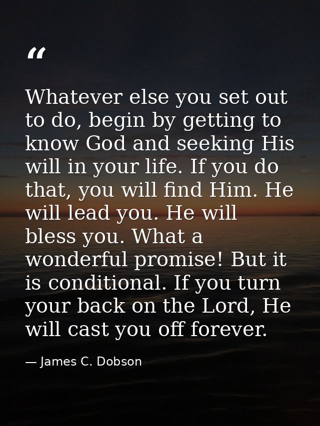 Whatever else you set out to do, begin by getting to know God and seeking His will in your life. If you do that, you wil — James C. Dobson