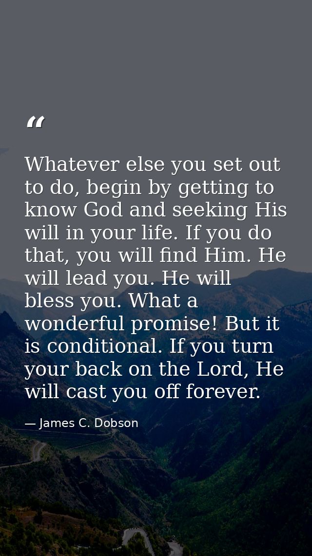 Whatever else you set out to do, begin by getting to know God and seeking His will in your life. If you do that, you wil — James C. Dobson