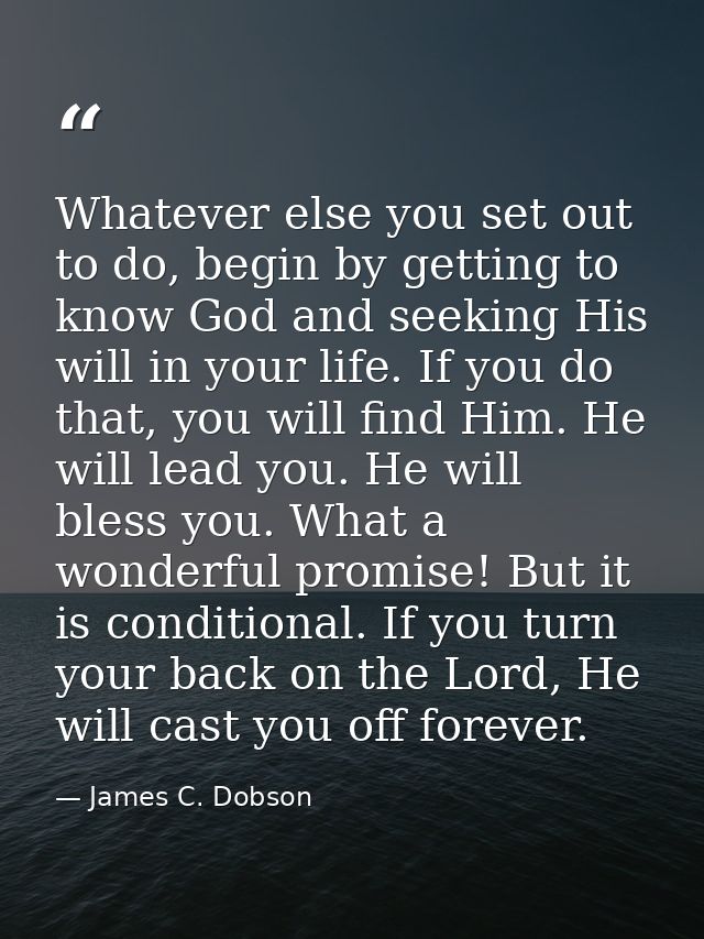 Whatever else you set out to do, begin by getting to know God and seeking His will in your life. If you do that, you wil — James C. Dobson