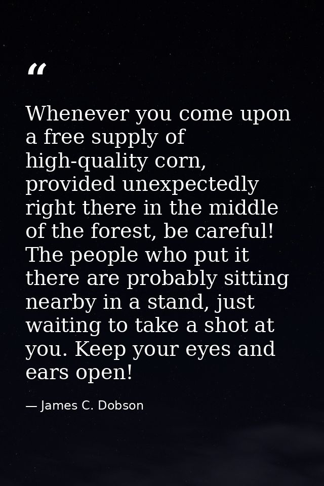 Whenever you come upon a free supply of high-quality corn, provided unexpectedly right there in the middle of the forest — James C. Dobson
