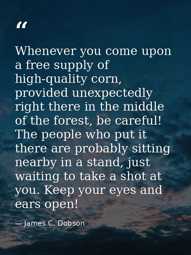 Whenever you come upon a free supply of high-quality corn, provided unexpectedly right there in the middle of the forest — James C. Dobson