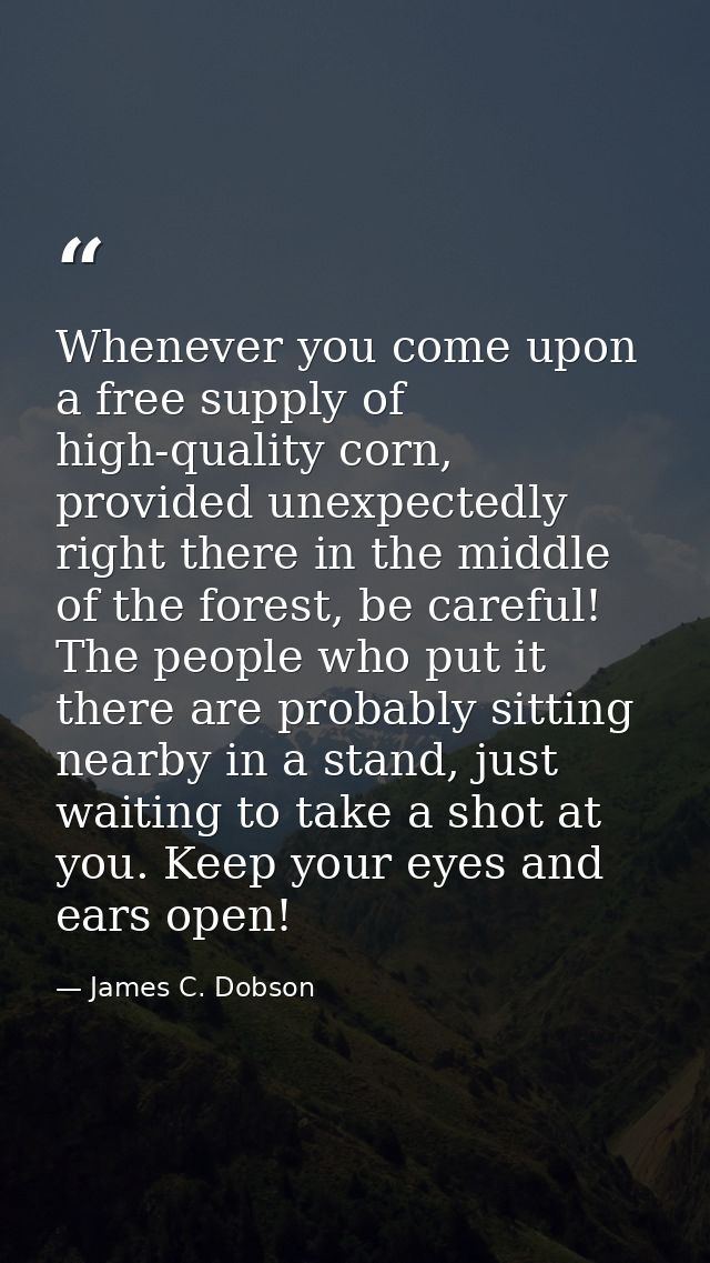 Whenever you come upon a free supply of high-quality corn, provided unexpectedly right there in the middle of the forest — James C. Dobson