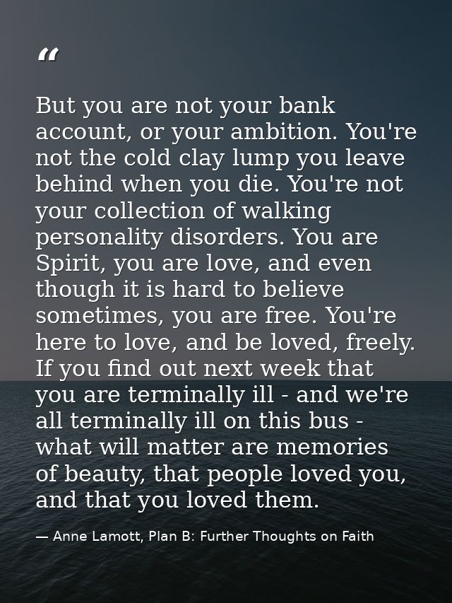 But you are not your bank account, or your ambition. You're not the cold clay lump you leave behind when you die. You're — Anne Lamott, Plan B: Further Thoughts on Faith