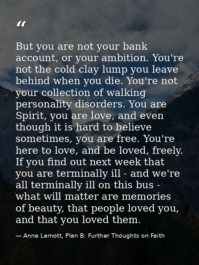 But you are not your bank account, or your ambition. You're not the cold clay lump you leave behind when you die. You're — Anne Lamott, Plan B: Further Thoughts on Faith