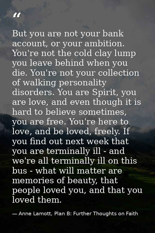 But you are not your bank account, or your ambition. You're not the cold clay lump you leave behind when you die. You're — Anne Lamott, Plan B: Further Thoughts on Faith