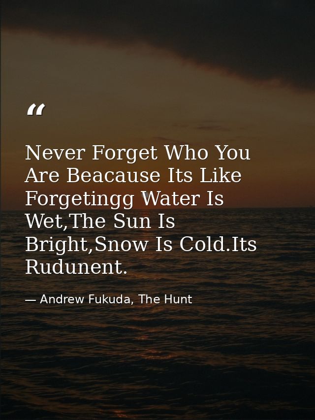 Never Forget Who You Are Beacause Its Like Forgetingg Water Is Wet,The Sun Is Bright,Snow Is Cold.Its Rudunent. — Andrew Fukuda, The Hunt