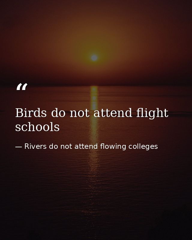 Birds do not attend flight schools — Rivers do not attend flowing colleges