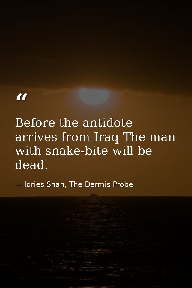 Before the antidote arrives from Iraq The man with snake-bite will be dead. — Idries Shah, The Dermis Probe
