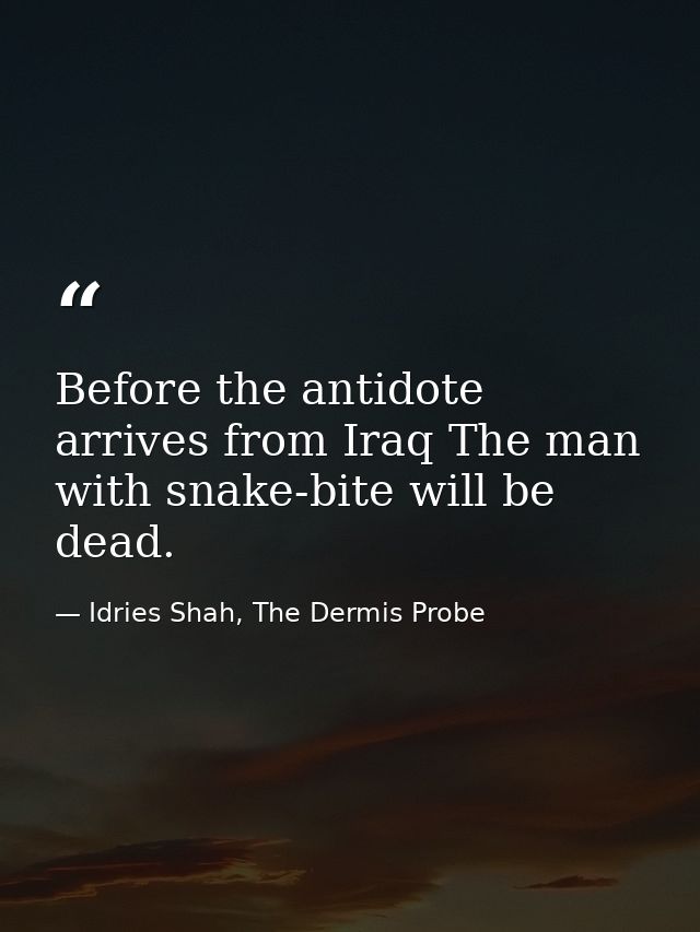 Before the antidote arrives from Iraq The man with snake-bite will be dead. — Idries Shah, The Dermis Probe