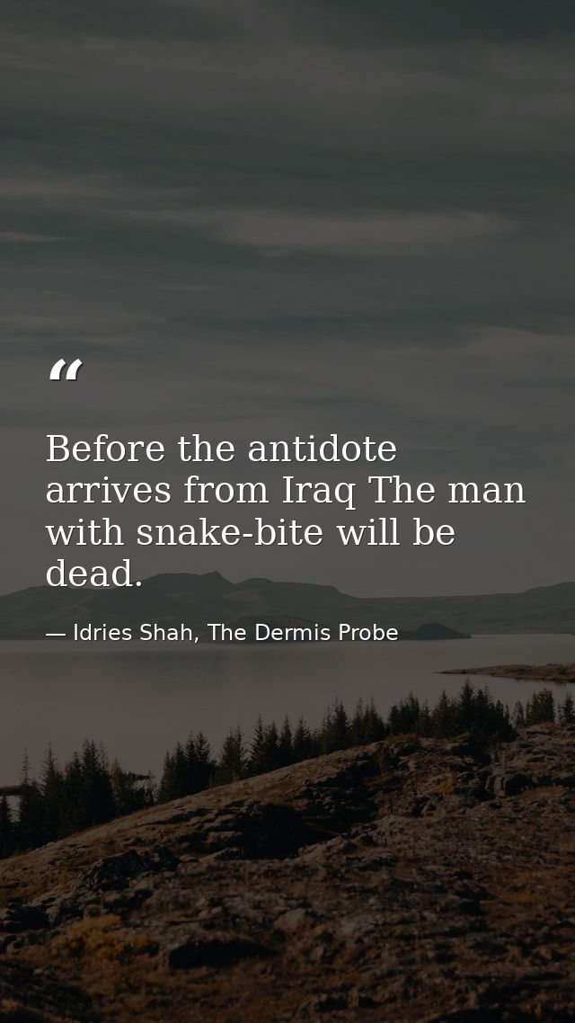 Before the antidote arrives from Iraq The man with snake-bite will be dead. — Idries Shah, The Dermis Probe