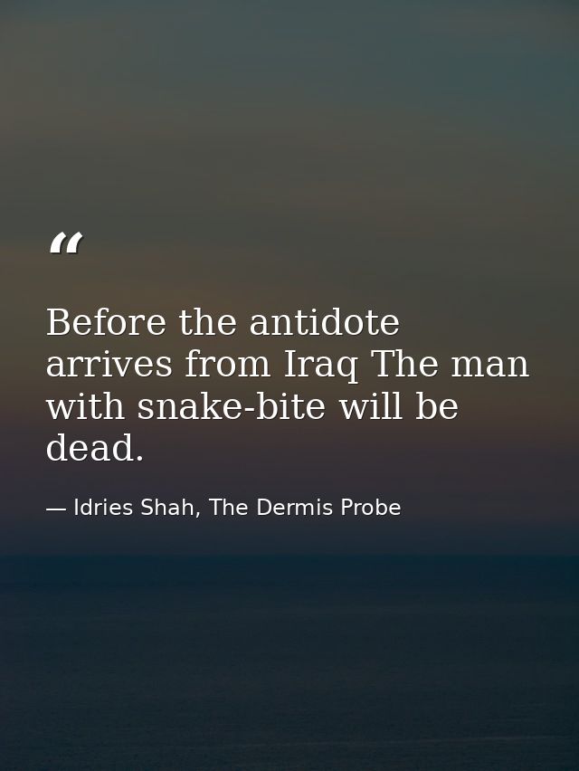 Before the antidote arrives from Iraq The man with snake-bite will be dead. — Idries Shah, The Dermis Probe