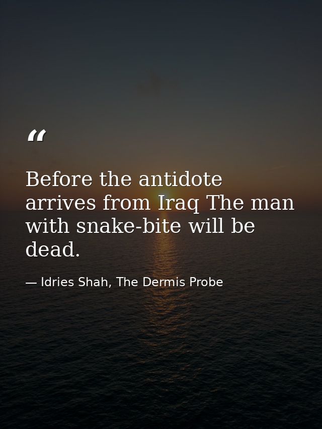 Before the antidote arrives from Iraq The man with snake-bite will be dead. — Idries Shah, The Dermis Probe