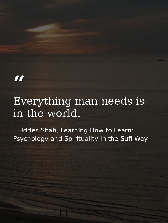 Everything man needs is in the world. — Idries Shah, Learning How to Learn: Psychology and Spirituality in the Sufi Way