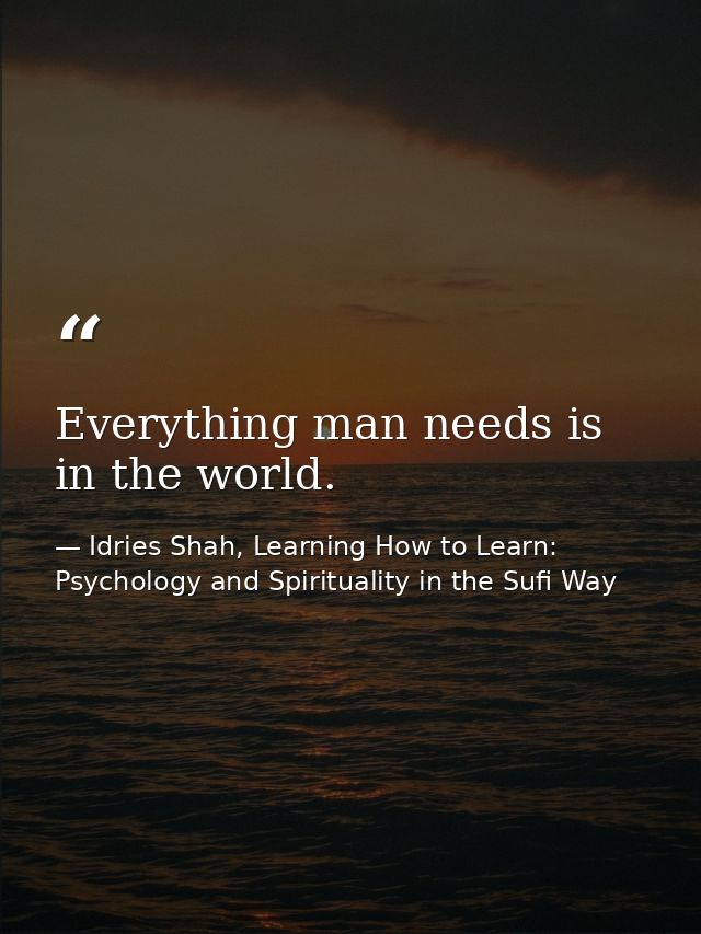 Everything man needs is in the world. — Idries Shah, Learning How to Learn: Psychology and Spirituality in the Sufi Way