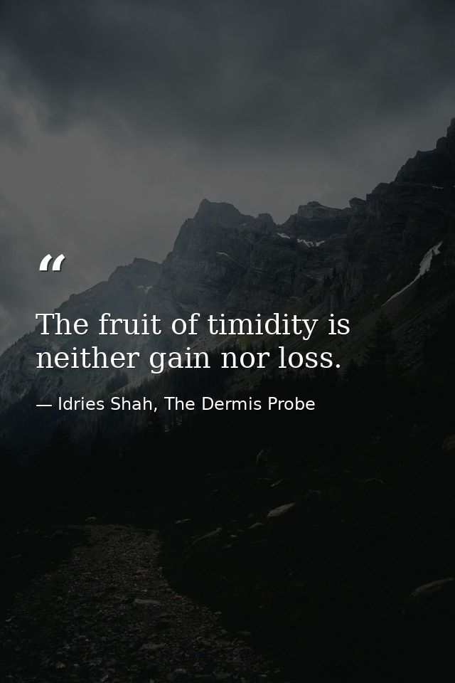 The fruit of timidity is neither gain nor loss. — Idries Shah, The Dermis Probe