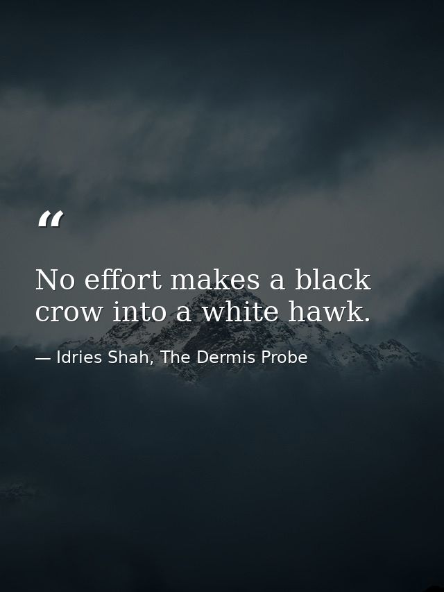 No effort makes a black crow into a white hawk. — Idries Shah, The Dermis Probe