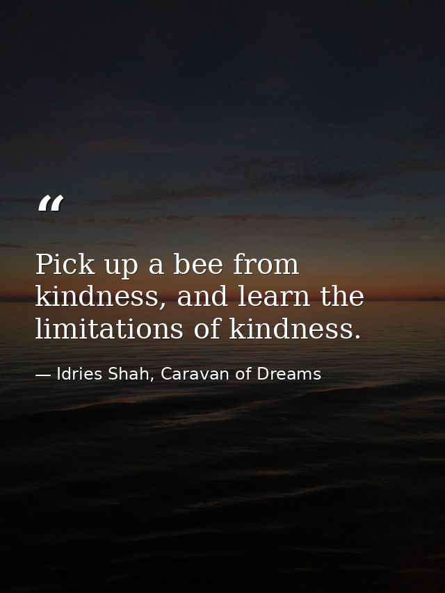 Pick up a bee from kindness, and learn the limitations of kindness. — Idries Shah, Caravan of Dreams