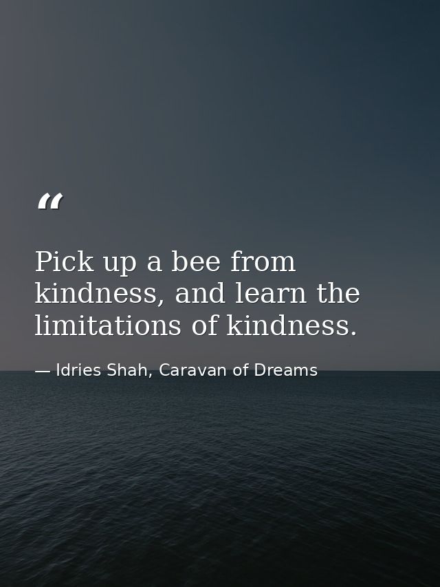 Pick up a bee from kindness, and learn the limitations of kindness. — Idries Shah, Caravan of Dreams