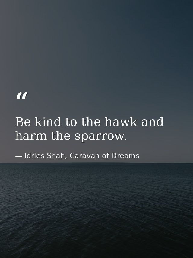 Be kind to the hawk and harm the sparrow. — Idries Shah, Caravan of Dreams