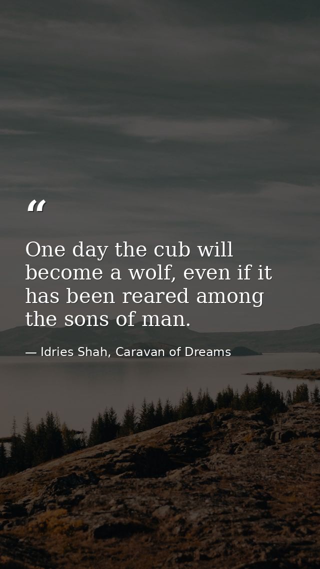 One day the cub will become a wolf, even if it has been reared among the sons of man. — Idries Shah, Caravan of Dreams