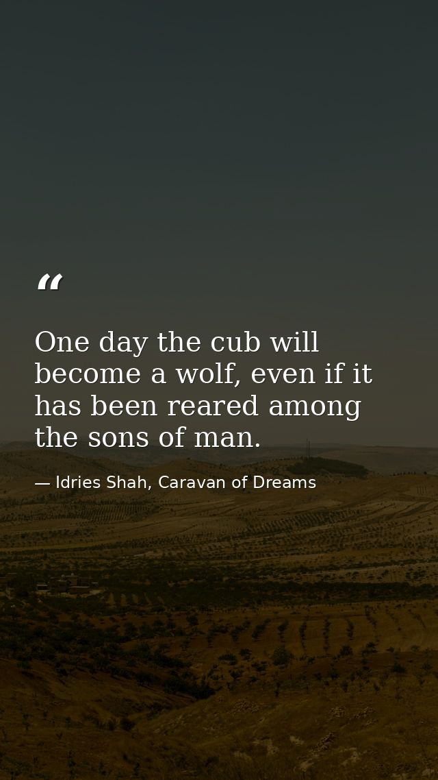 One day the cub will become a wolf, even if it has been reared among the sons of man. — Idries Shah, Caravan of Dreams