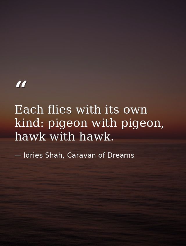 Each flies with its own kind: pigeon with pigeon, hawk with hawk. — Idries Shah, Caravan of Dreams