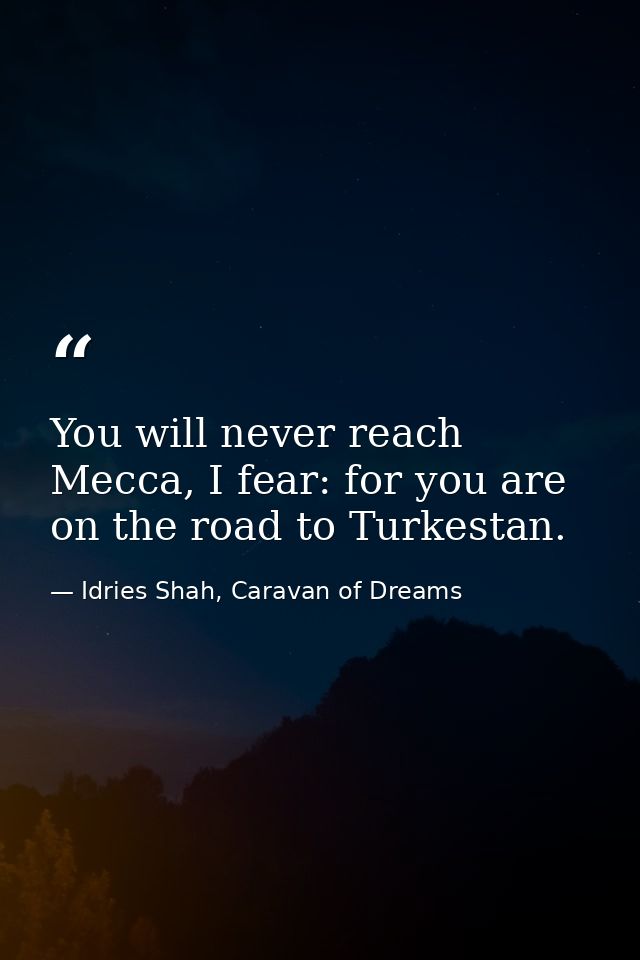 You will never reach Mecca, I fear: for you are on the road to Turkestan. — Idries Shah, Caravan of Dreams